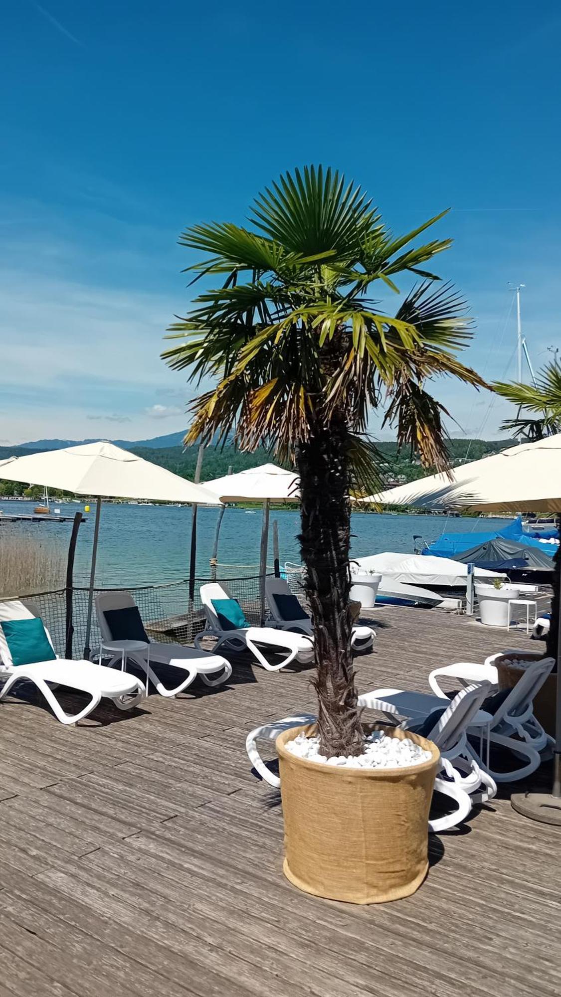 Tennis & Yacht Hotel Velden Velden am Wörthersee Exterior foto